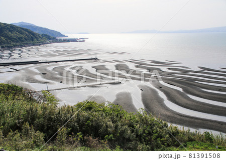 御輿来海岸 81391508