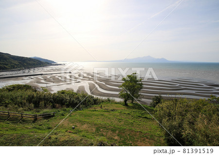 御輿来海岸 81391519