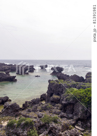 鹿児島県 沖永良部島のウジジ浜の奇岩 鹿児島県 沖永良部島のウジジ浜の奇岩 81391981