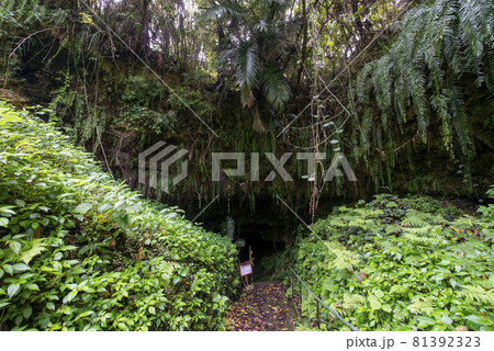 鹿児島県　沖永良部島の住吉暗川（クラゴー） 81392323