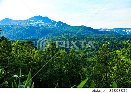 北海道 トムラウシ 山頂を望む 初夏 北海道 トムラウシ 山頂を望む 初夏 81393332