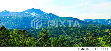 北海道　トムラウシ　山頂を望む　初夏 81393333