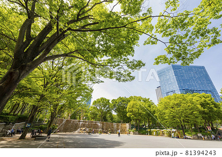 新宿中央公園 81394243