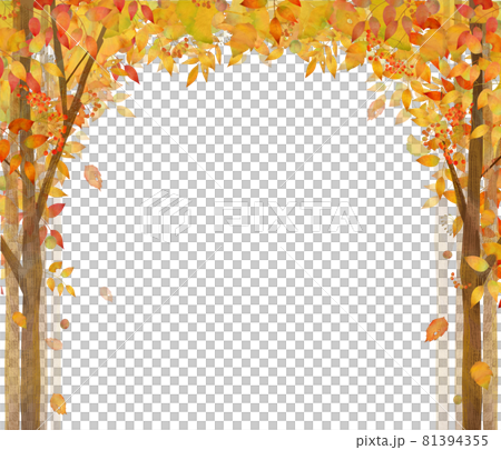Fashionable vector white back frame with arches of autumn trees and leaves such as maple and maple 81394355