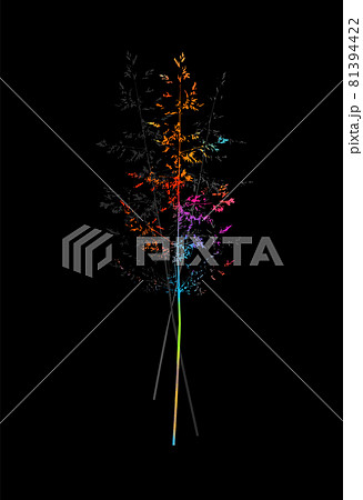 Isolated vector illustration of a meadow grass. Element for design on a black background. Bluegrass meadow grass. Multicolored Vector illustration 81394422