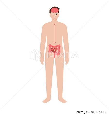 Gut brain connection Gut brain connection 81394472