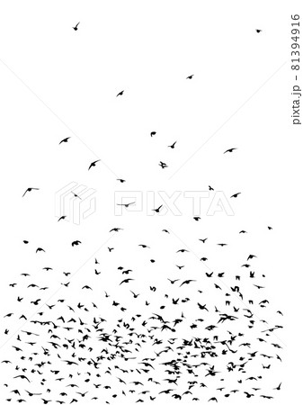 A flock of flying birds. Vector illustration A flock of flying birds. Vector illustration 81394916