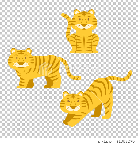 トラのイラスト セット トラのイラスト セット 81395279