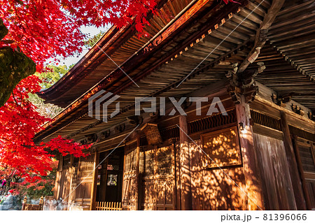 秋の定光寺〈愛知県瀬戸市〉 秋の定光寺〈愛知県瀬戸市〉 81396066