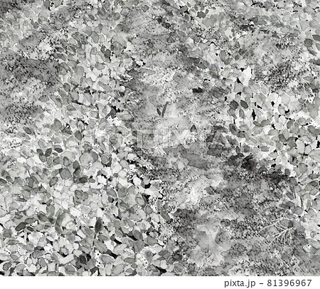 風景画 落花生畑【水墨画風水彩画】モノトーン 81396967