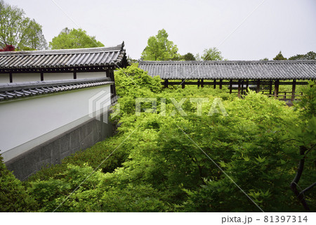 本坊庭園から見た通天橋 東福寺 本坊庭園から見た通天橋 東福寺 81397314