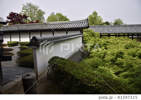 本坊庭園から見た通天橋 東福寺 本坊庭園から見た通天橋 東福寺 81397315
