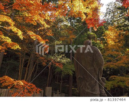 【京都】今熊野観音寺(いまくまのかんのんじ)の紅葉 【京都】今熊野観音寺(いまくまのかんのんじ)の紅葉 81397464