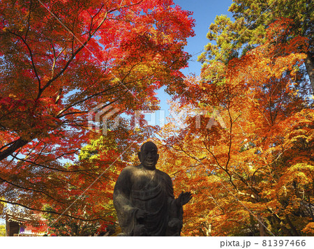 【京都】今熊野観音寺(いまくまのかんのんじ)の紅葉と子まもり大師像 【京都】今熊野観音寺(いまくまのかんのんじ)の紅葉と子まもり大師像 81397466