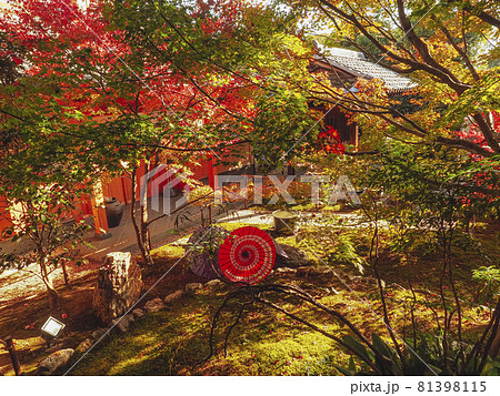 【京都】勝林寺の紅葉と和傘 【京都】勝林寺の紅葉と和傘 81398115