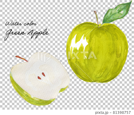 水彩イラストの青りんごのイラスト素材