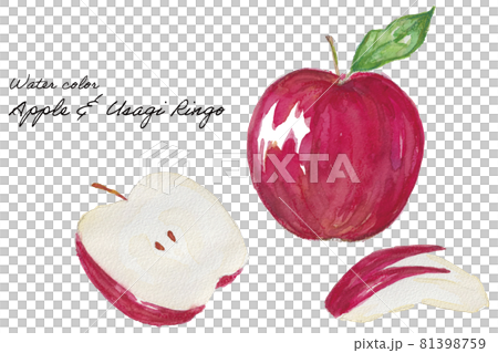 Red apple with watercolor illustration Red apple with watercolor illustration 81398759