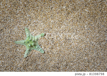 Beautiful starfish on beach sand, top view. Beautiful starfish on beach sand, top view. 81398798