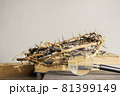 Open book, thorn crown and a magnifying glass over the light wall. 81399149