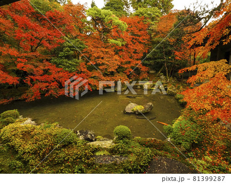 【京都】蓮華寺の紅葉 【京都】蓮華寺の紅葉 81399287