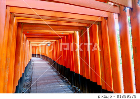 伏見稲荷の千本稲荷 81399579