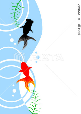 水紋と金魚の暑中見舞いイラストのイラスト素材