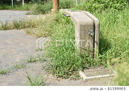 公園の使われなくなり始めた水飲み場2 公園の使われなくなり始めた水飲み場2 81399963