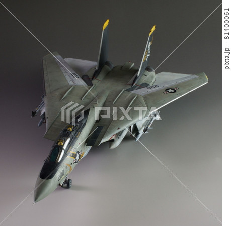 グラマン F-14A トムキャット プラモデル1/48 scale 斜め前 81400061
