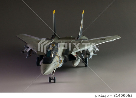 グラマン F-14A トムキャット プラモデル1/48 scale 斜め前2 81400062