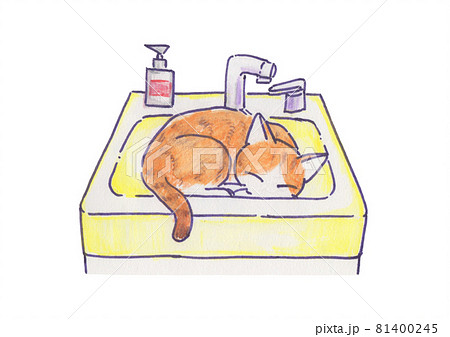 洗面台で寝る猫のイラスト素材