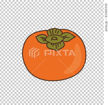 Persimmon agricultural products fruit fruit illustration 81400349
