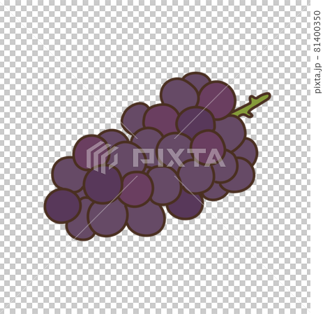 Grape produce fruit fruit illustration Grape produce fruit fruit illustration 81400350