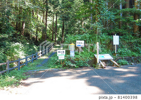 福井県 権現山 登山口 駐車場 福井県 権現山 登山口 駐車場 81400398