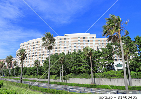 ヤシの木のある風景　千葉県浦安市舞浜 81400405
