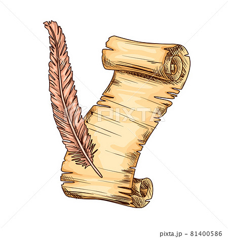 Old open parchment and feather. Education and wisdom concept. Vector icon for education and literature theme design. Vintage parchment illustration 81400586