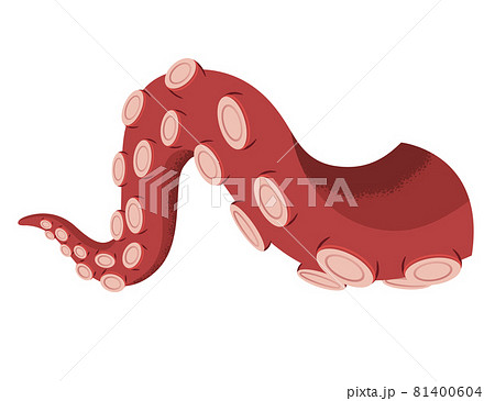 Octopus tentacle on white background. Sea squid - Stock