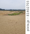 鳥取砂丘にある緑 81402703