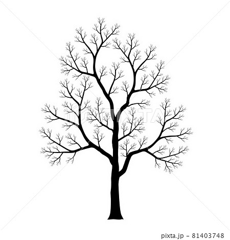Silhouette of dead tree isolated on white background. Black and white. vector illustration. Silhouette of dead tree isolated on white background. Black and white. vector illustration. 81403748