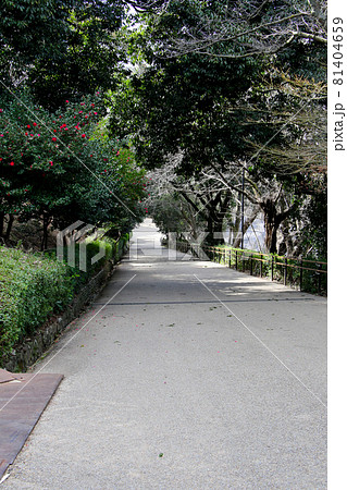 香川県丸亀市 国指定史跡 丸亀城跡(亀山公園) 見返り坂を見返す 縦位置 別アングル 香川県丸亀市 国指定史跡 丸亀城跡(亀山公園) 見返り坂を見返す 縦位置 別アングル 81404659