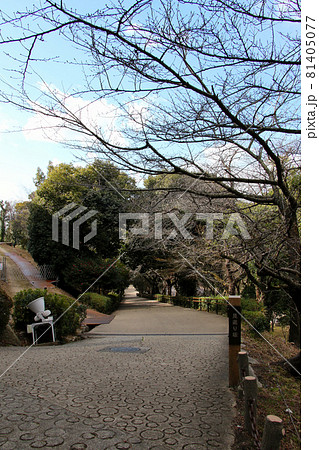 香川県丸亀市　国指定史跡　丸亀城跡（亀山公園）丸亀城の見返り坂とその説明杭　縦位置　さらに別アングル 81405077