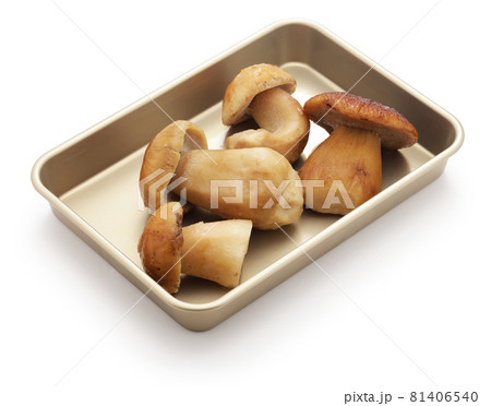 冷凍ポルチーニ　 81406540