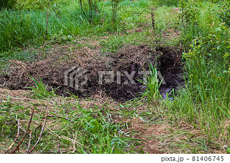 A mud hole in the middle of an off-road path A mud hole in the middle of an off-road path 81406745
