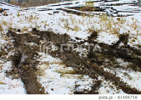 Tracks from a truck that was stuck in the muskeg Tracks from a truck that was stuck in the muskeg 81406756