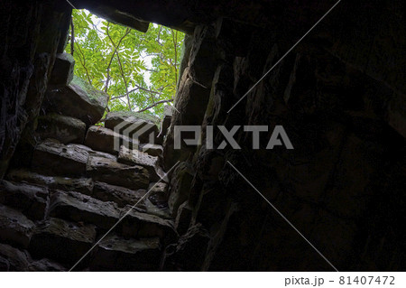 カンボジア 遺跡 タ・プローム カンボジア 遺跡 タ・プローム 81407472