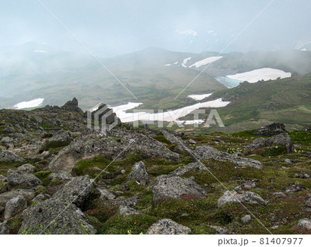 北海道の初夏　トムラウシ　山頂の風景 81407977