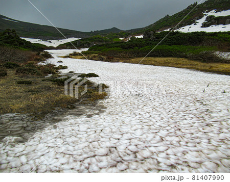 北海道の初夏 トムラウシ 山頂への道 北海道の初夏 トムラウシ 山頂への道 81407990