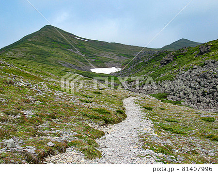北海道の初夏 トムラウシ 山頂への道 北海道の初夏 トムラウシ 山頂への道 81407996