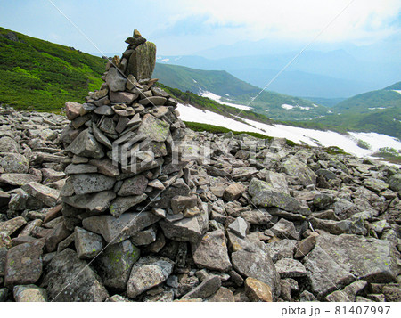 北海道の初夏 トムラウシ 山頂への道 北海道の初夏 トムラウシ 山頂への道 81407997