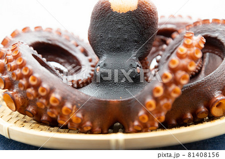 真蛸の茹で上げ　頭が剥げているタコ 81408156