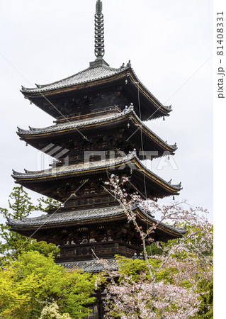 春の総本山仁和寺の五重塔 81408331